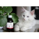 photo du produit Phyto Croissance avec un chat blanc