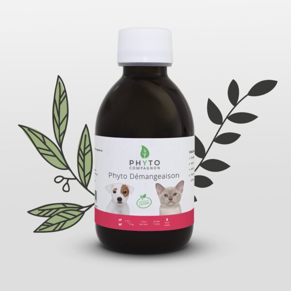 Phyto Démangeaison