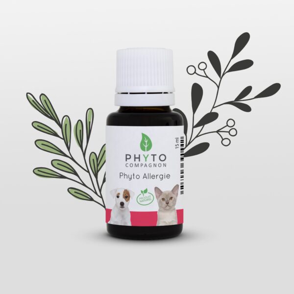 Phyto Allergie