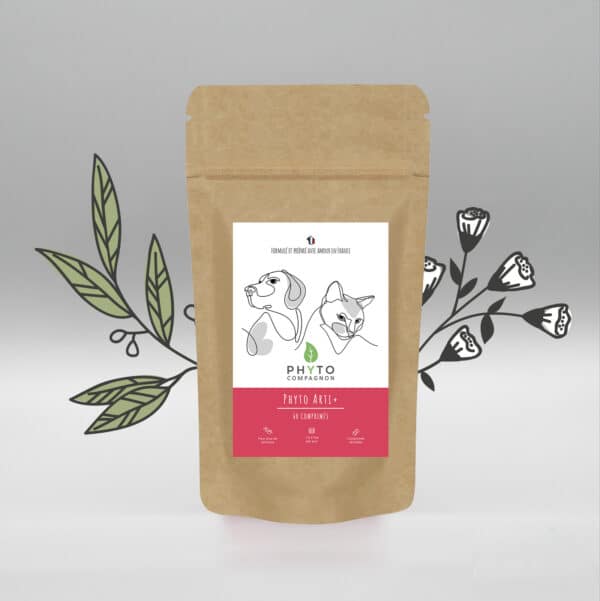 Phyto Arti+