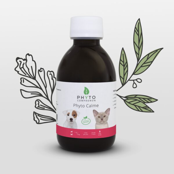 Phyto Calme