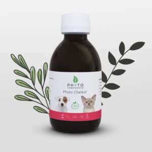Phyto Chaleur