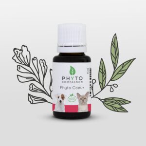 Phyto Coeur