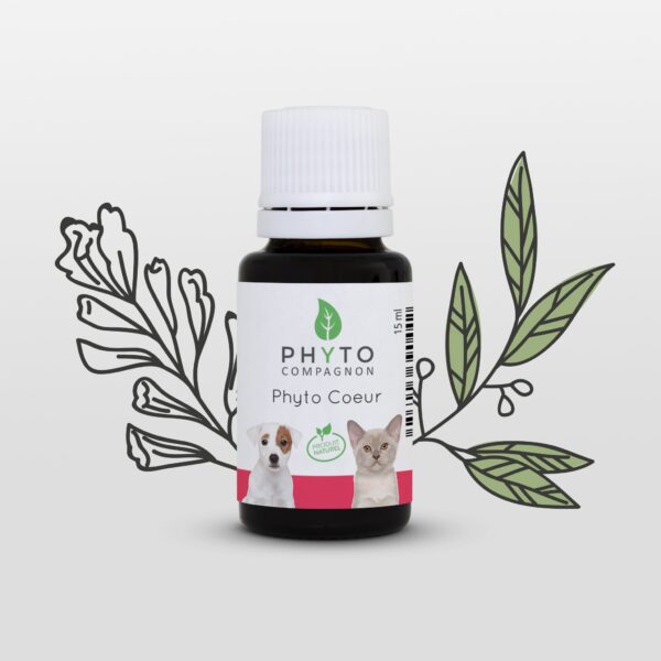 Phyto Coeur