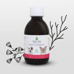 Phyto Constipation