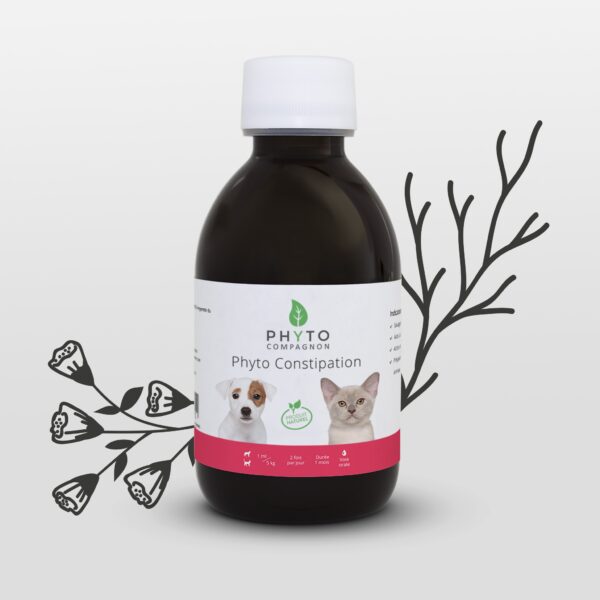 Phyto Constipation