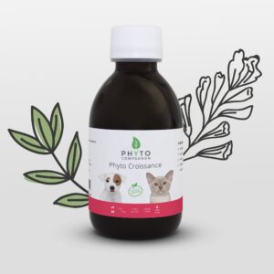 Phyto Croissance