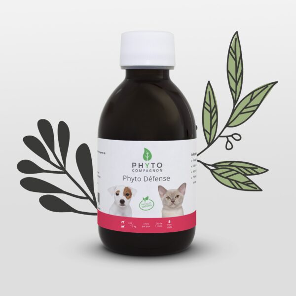Phyto Défense