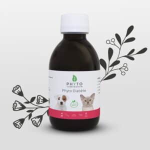 Phyto Diabete