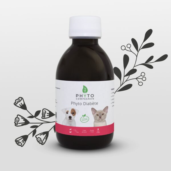 Phyto Diabete