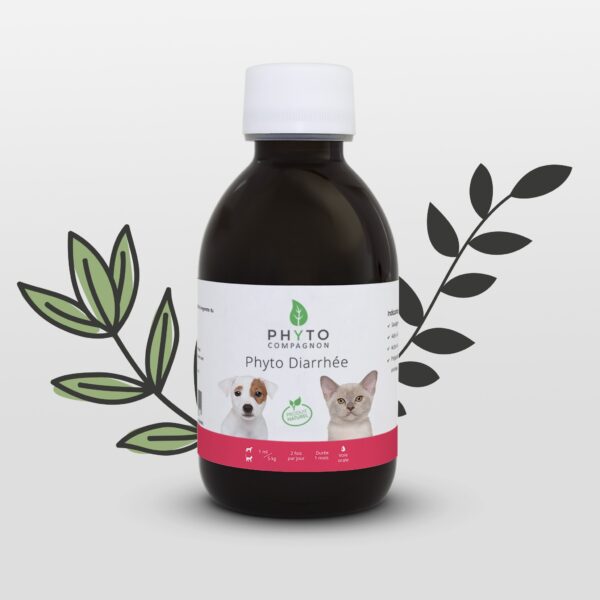 Phyto Diarrhée