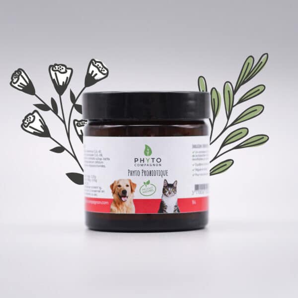 Phyto Probiotique