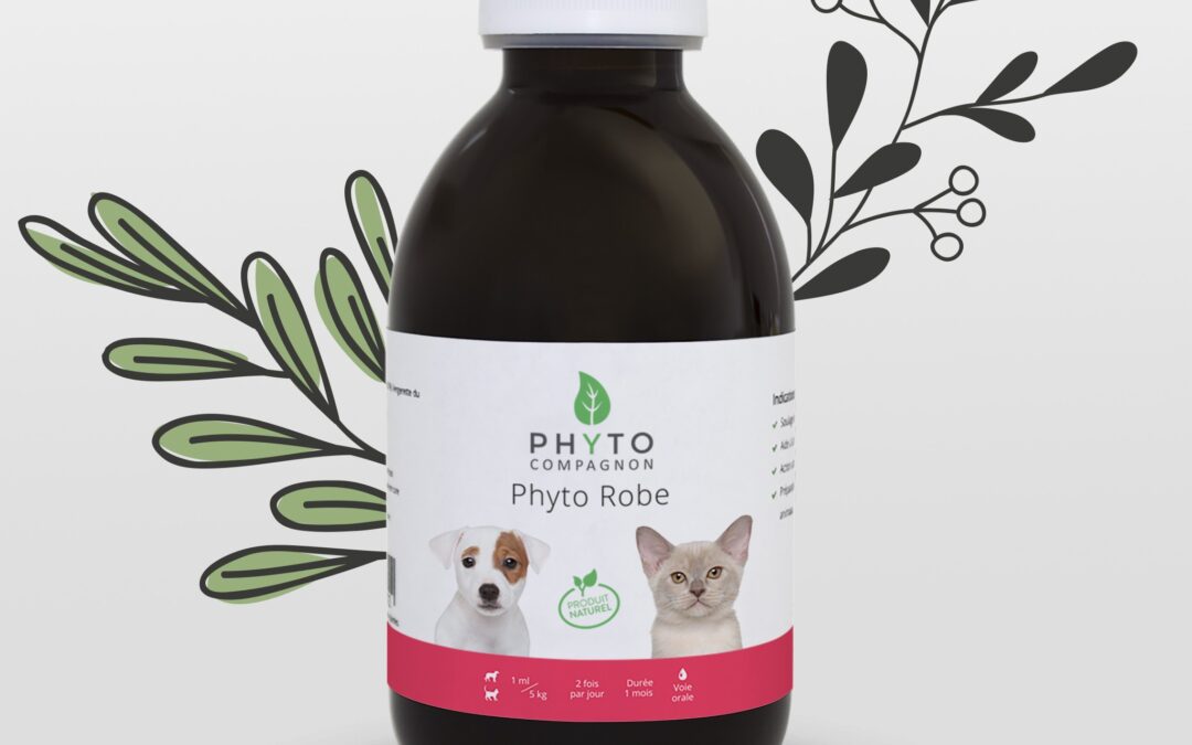 Phyto Robe