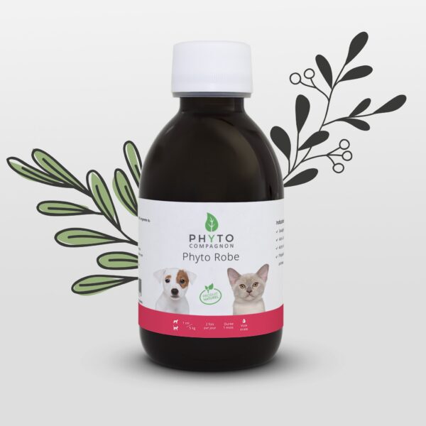 Phyto Robe