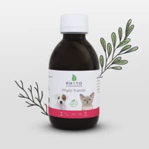 Phyto Transit