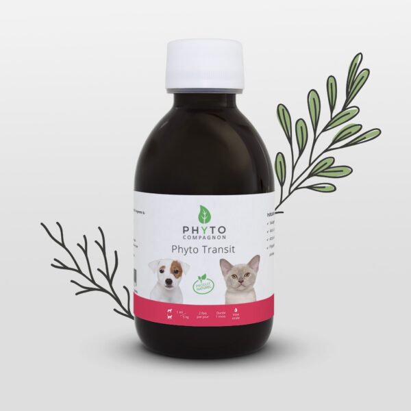 Phyto Transit
