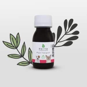 Phyto Transport