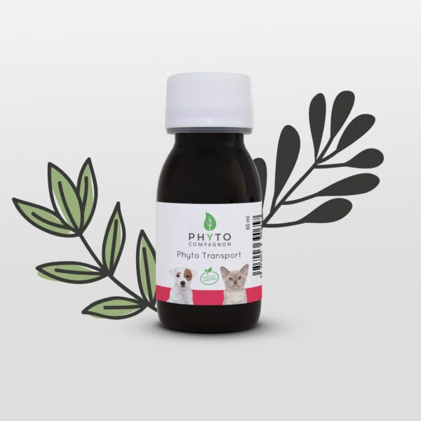 Phyto Transport
