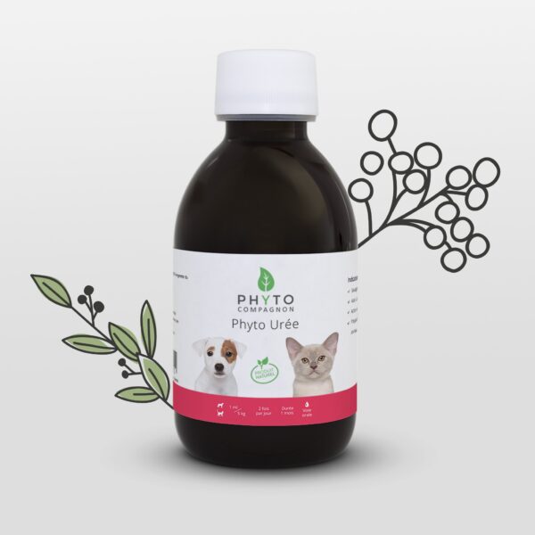 Phyto Urée