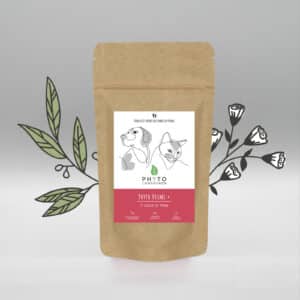 Phyto Vermi + - Sachet 24 gélules 400mg (moyen & grand chien)