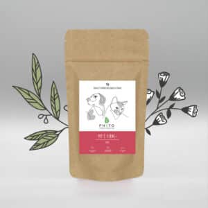 Phyto Vermi + - En poudre libre (100g)