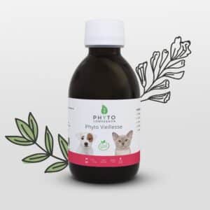 Phyto Vieillesse