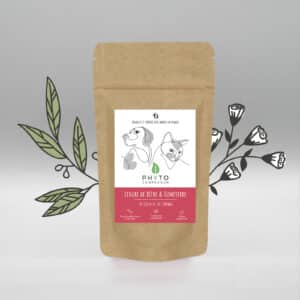 Levure de Bière Vivante & Fumeterre - Sachet 30 gélules 200mg (petit chien & chat)