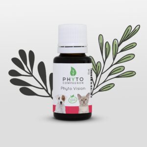 Phyto Vision