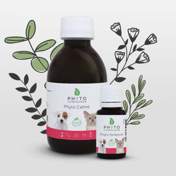 Duo Phyto Calme & Épilepsie