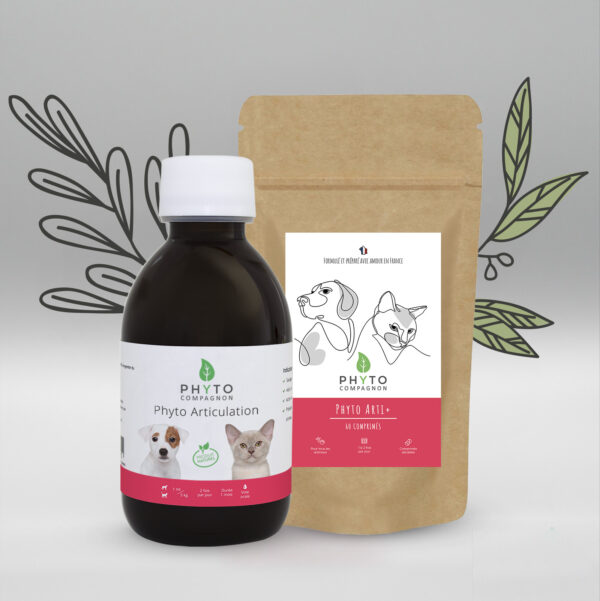 Duo Phyto Articulation & Arti+