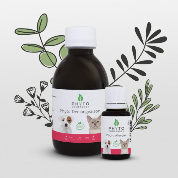 Duo Phyto Allergie & Démangeaison