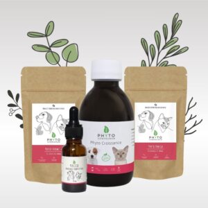 packshot_pack-frimousse-phyto-chien-chat