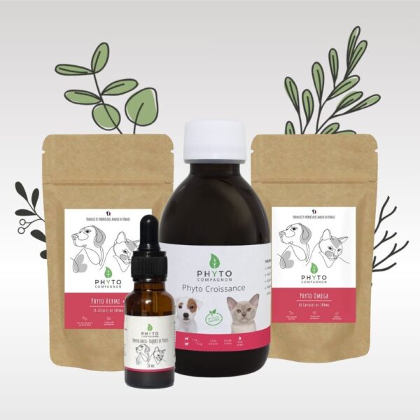 packshot_pack-frimousse-phyto-chien-chat