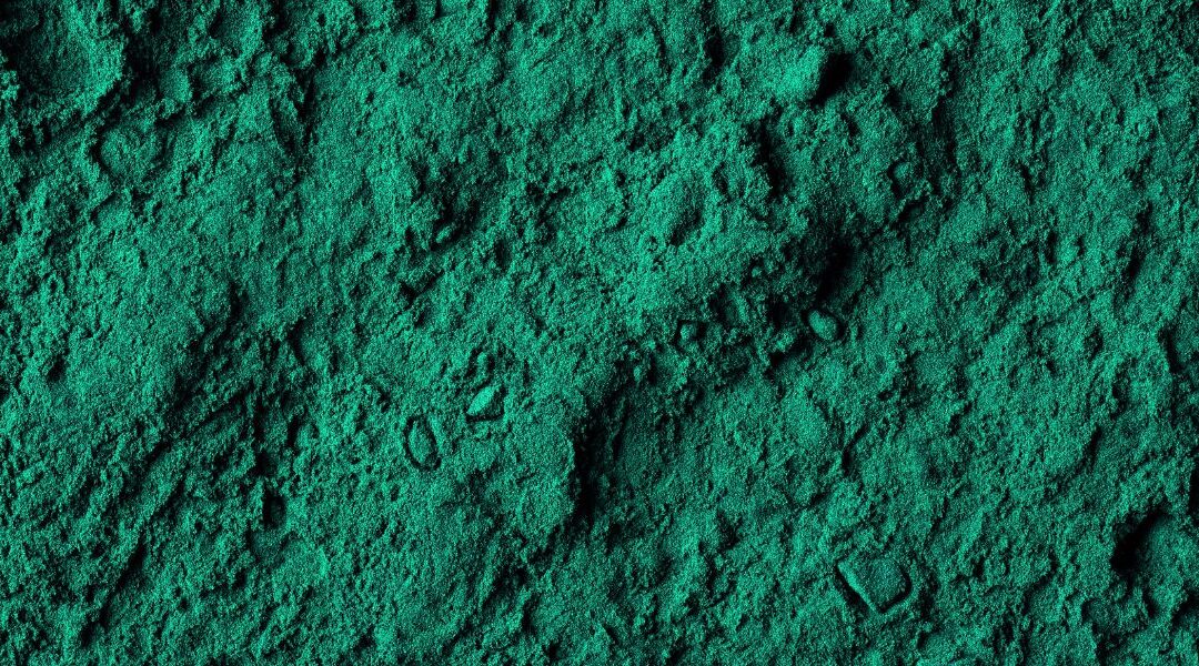 Spiruline pour chiens et chats : bonne ou mauvaise idée ?