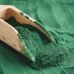 spiruline_petite-image2