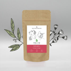 Phyto Arti+ - Sachet 60 gélules 200mg (petit chien & chat)