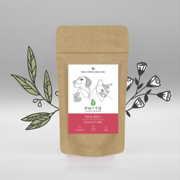 Phyto Arti+