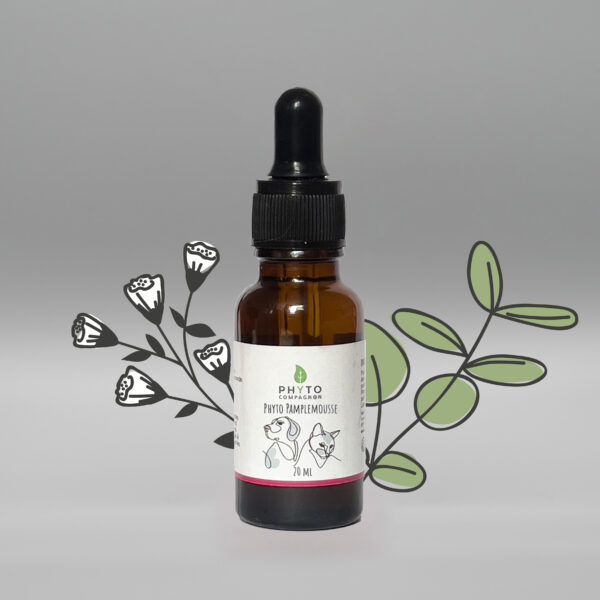 packshot- phyto pamplemousse